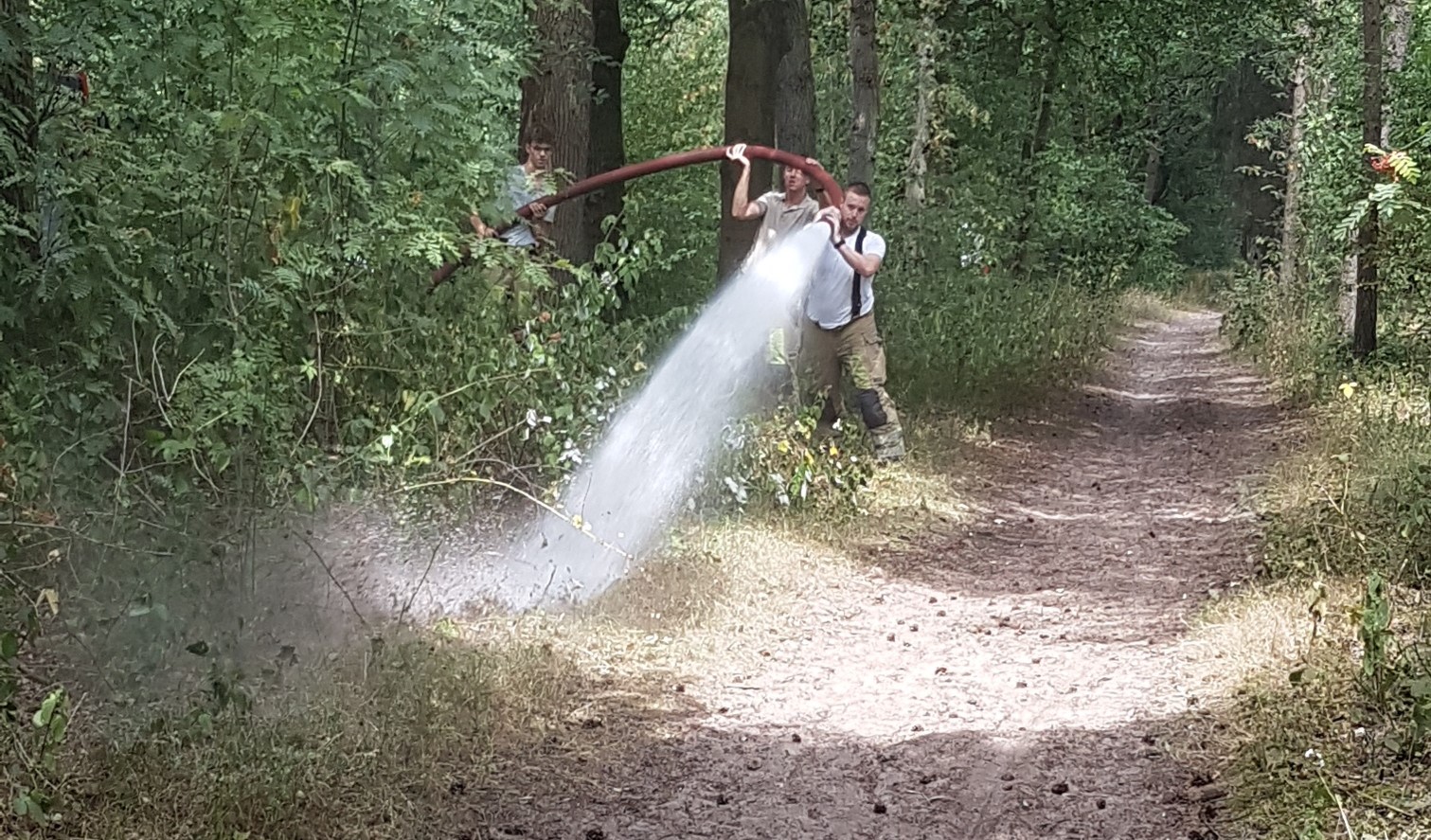 Geen bewijs tegen verdachte van stichten bosbrand