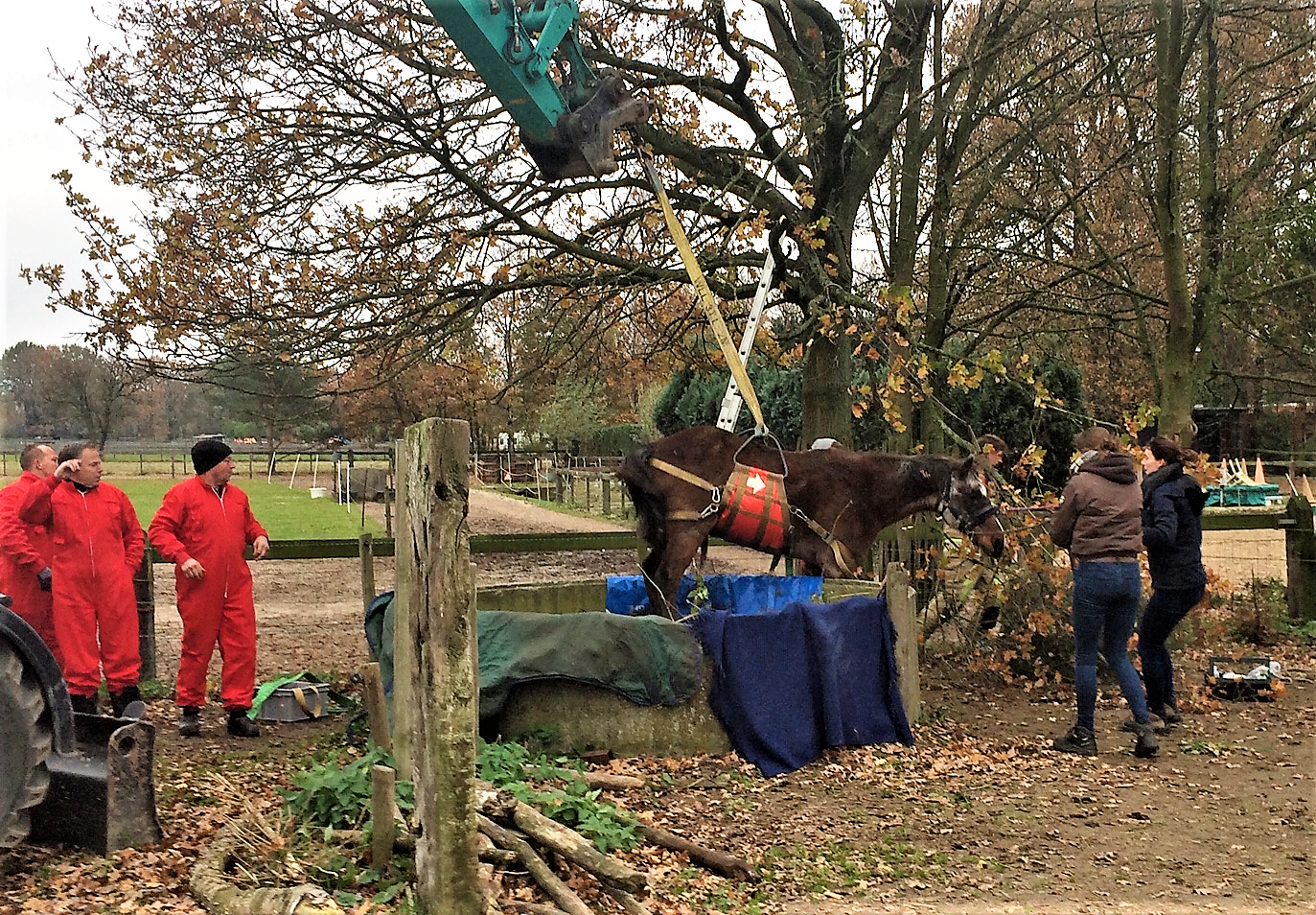 Brandweer bevrijdt paard uit oude waterput