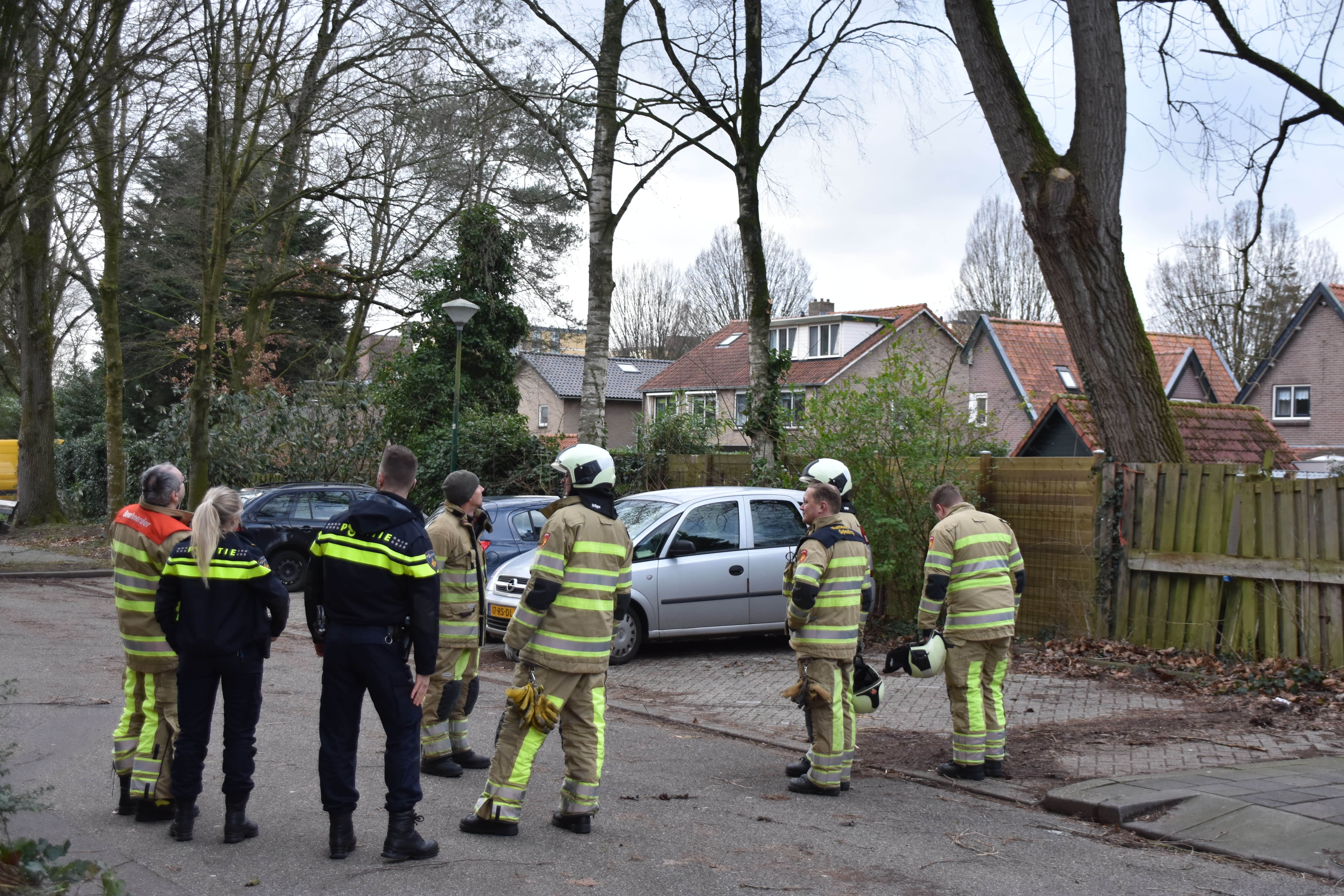 Geen dreiging omvallen boom maar scheefgroei
