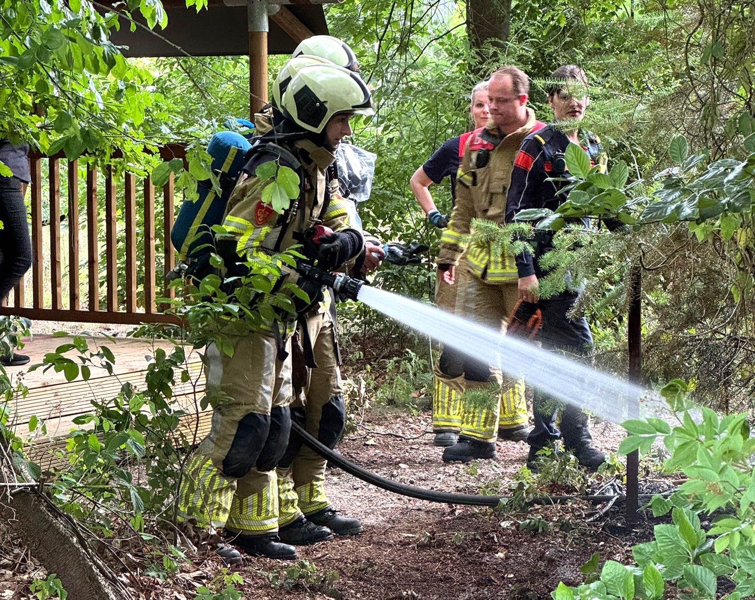 Bosbrandje binnen de perken gehouden