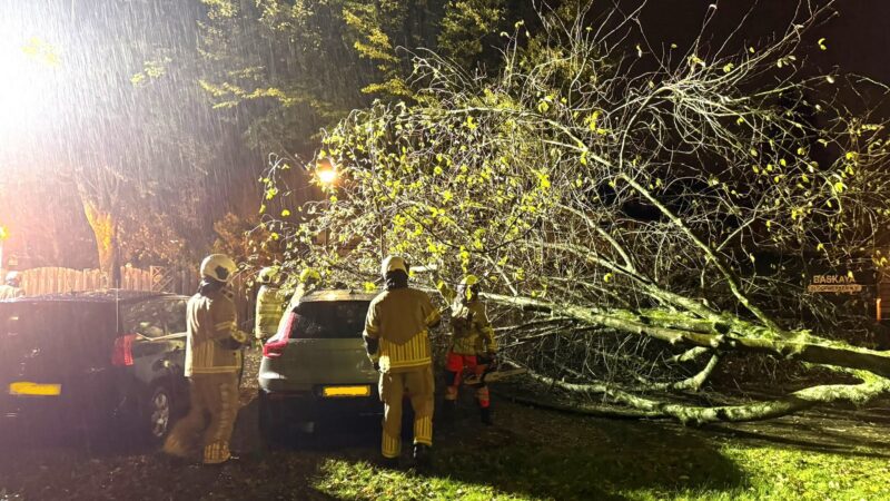 Bomen houden brandweer bezig